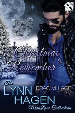 A Christmas to Remember (Brac Village #17)