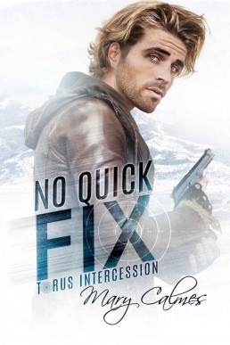 No Quick Fix (Torus Intercession Book 1)