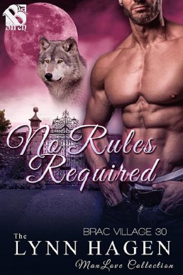 No Rules Required (Brac Village #30)