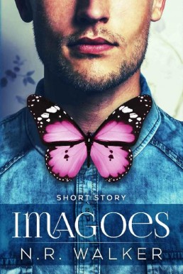 Imagoes_ An Imago Series Short Story (90)