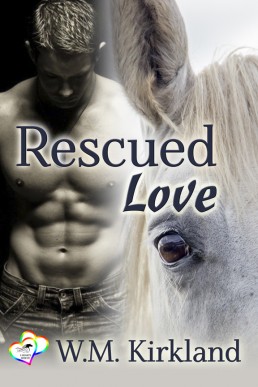 Rescued Love (2 Hearts Rescue #1)