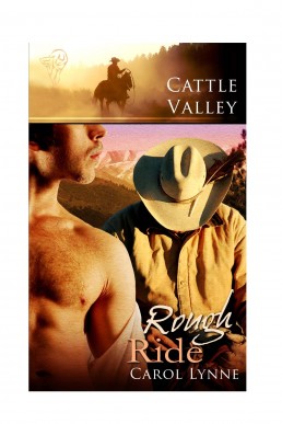 Rough Ride (Cattle Valley 4)