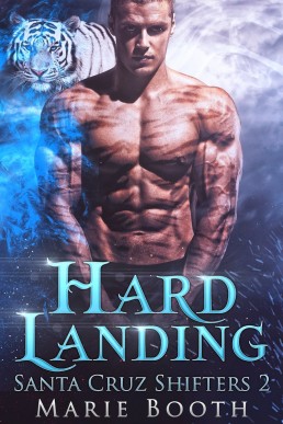 Hard Landing (Santa Cruz Shifters 2)