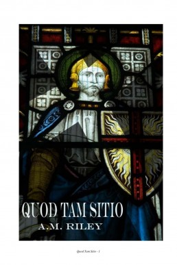 Quod Tam Sitio