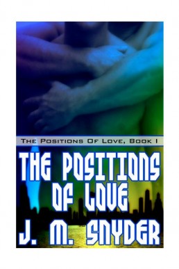 The Positions of Love book 1