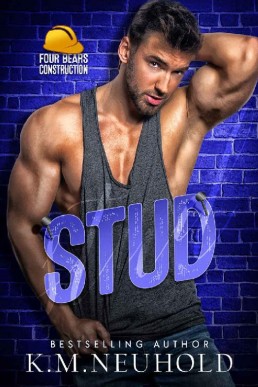 Stud (Four Bears Construction Book (126)