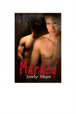 Marked (Northern Shifters Book 1)