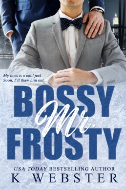 Bossy Mr. Frosty (Brigs Ferry Bay 1.5)