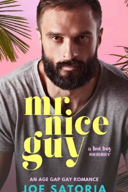 Mr Nice Guy_ An Age Gap Gay Romance (128)