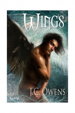 Wings (1st edition, 2009)  (1191)