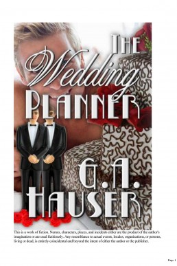 The Wedding Planner (1236)