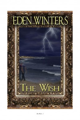 The Wish #1 (1st edition 2009)