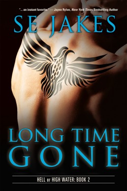 Long Time Gone (Hell or High Water: Book 2)