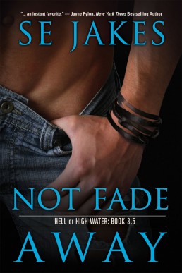 Not Fade Away (Hell or High Water: Book 3.5)