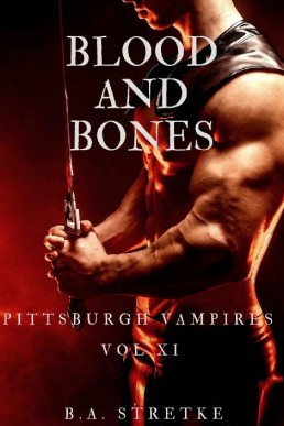 Blood and Bones (Pittsburgh Vampire 1; Vampires of Blood and Bones 1)