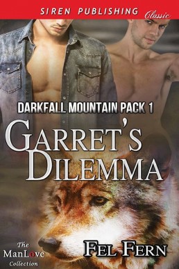 Garret's Dilemma [Darkfall Mountain (1145)