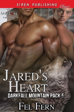 Jared's Heart [Darkfall Mountain Pa (1138)