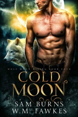 Cold Moon (Wolf Moon Rising Book 4)