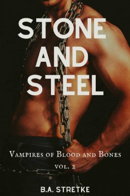 Stone and Steel (Vampires of Blood and Bones 2)