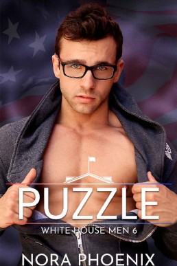 Puzzle (White House Men 6)