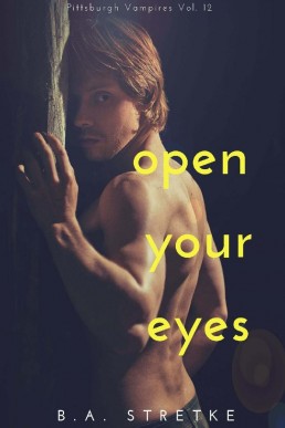 Open Your Eyes (Pittsburgh Vampires 12)