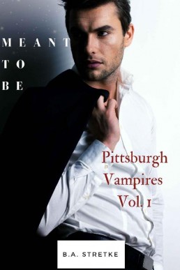 Meant to Be (Pittsburgh Vampires 1)