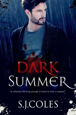 Dark Summer (Blood Winter #2)