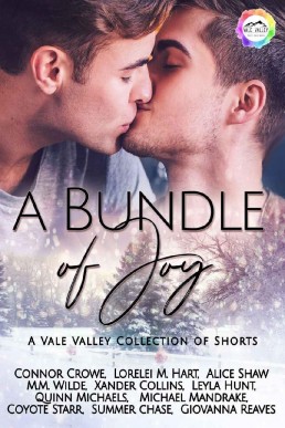 A Bundle of Joy (Vale Valley Season One #12)