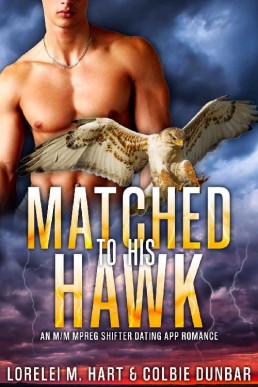 Matched to His Hawk (924)