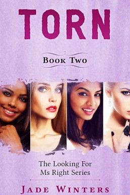 Torn (Looking For Ms Right Book 2)