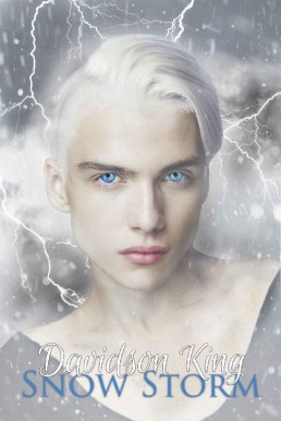 Snow Storm (Haven Hart Book 5)