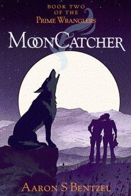 MoonCatcher