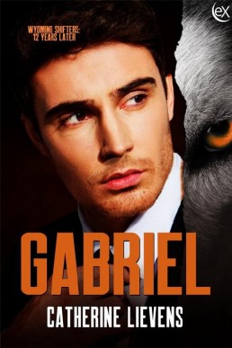 Gabriel (Wyoming Shifters: 12 Years Later #9)