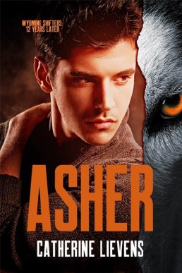 Asher (Wyoming Shifters: 12 Years Later #1)