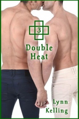 Double Heat (Twin Ties 3)