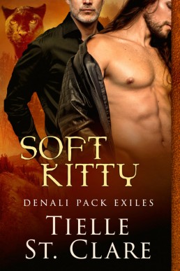 Soft Kitty (195)