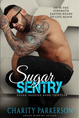 Sugar Sentry Sugar Daddies #13 (317)