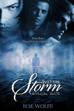 Into the Storm_ Full Circle series (479)