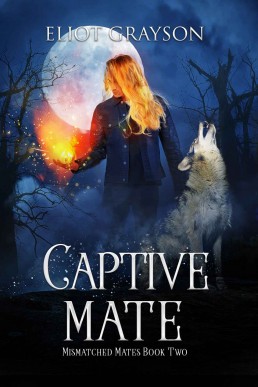 Captive Mate (Mismatched Mates #2)