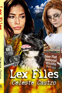 Lex Files