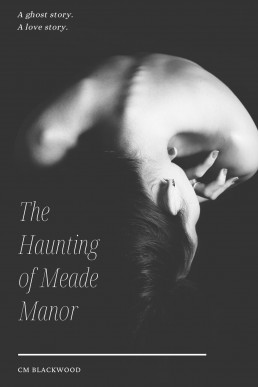 The Haunting of Meade Manor: Inheritance of Blood