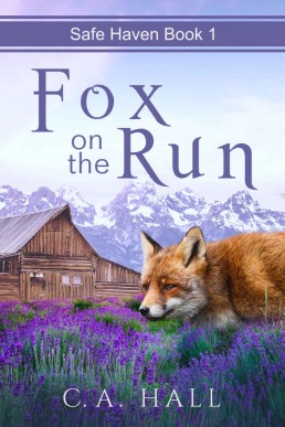 Fox on the Run (Safe Haven #1)