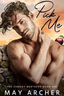 Pick Me (Sunday Brothers Book 1)