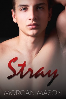 Stray (98)