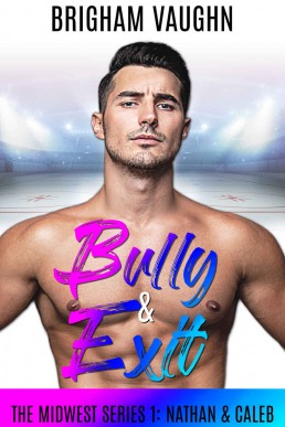 Bully & Exit (The Midwest Series Bo (153)