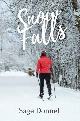 Snow Falls (Holiday Romances, #1) (254)