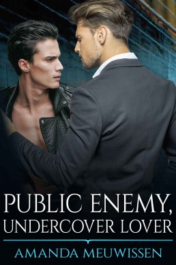 Public Enemy, Undercover Lover (282)