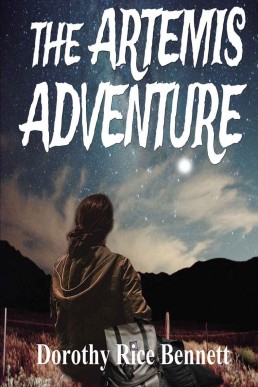 The Artemis Adventure