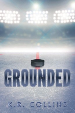 Grounded (Sophie Fournier #6)