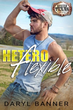 Heteroflexible (Spruce Texas Romance Book 3)